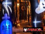 🚨💥 ¡MÁS DEL 50% DE DESCUENTO EN TODA NUESTRA TIENDA DE HALLOWEEN! 💥🚨