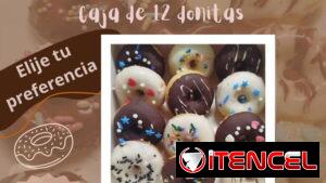 Minidonas Alile: 🍩 ¡Dulzura en cada mordida! 🍩