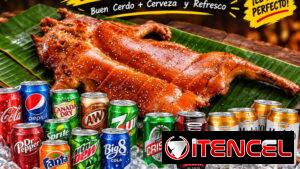 Cerdo, lechón, cochino ASADO