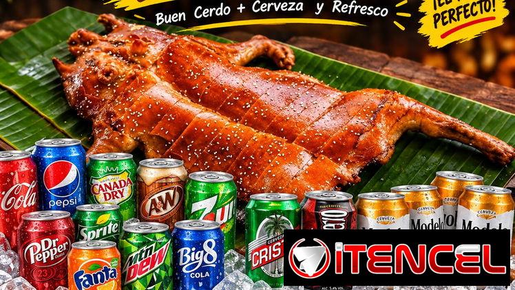 Cerdo, lechón, cochino ASADO — foto 1
