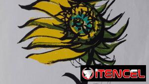 Serigrafias.
