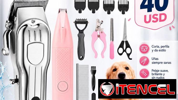 Grooming para mascota