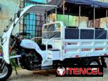 Triciclo de combustión Lifan 300 cc de carga y paseo
