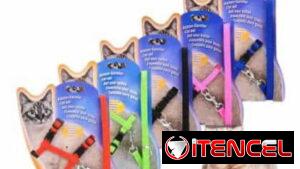 Arreos para gatos