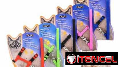 Arreos para gatos
