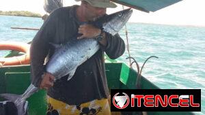 🎣 ¡EXCURSIÓN DE PESCA EN TRINIDAD! 🐟🌊