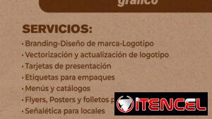 Diseñadora de Comunicación Visual