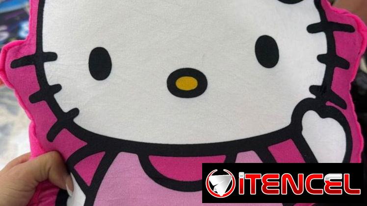 Cojines de personajes animados 🧸 — foto 1