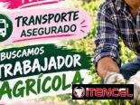 Empleos Finca Velázquez