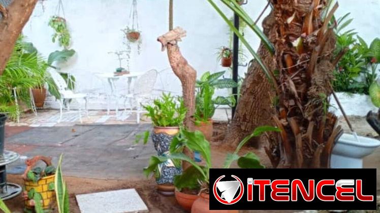 RENTA LINEAL EN CALLE 12, MIRAMAR. ZONA TRANQUILA Y SEGURA — foto 1