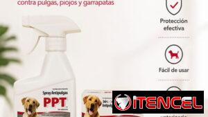 PACK ANTIPULGAS PPT PARA SU PERRO