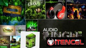 MÚSICA para tus VIDEOS DE REELS 🟡, FB, BRANDING , INSTA, 15, BODAS, : 🤩SIN MARCA DE AGUA y de ENVAT0 🤩