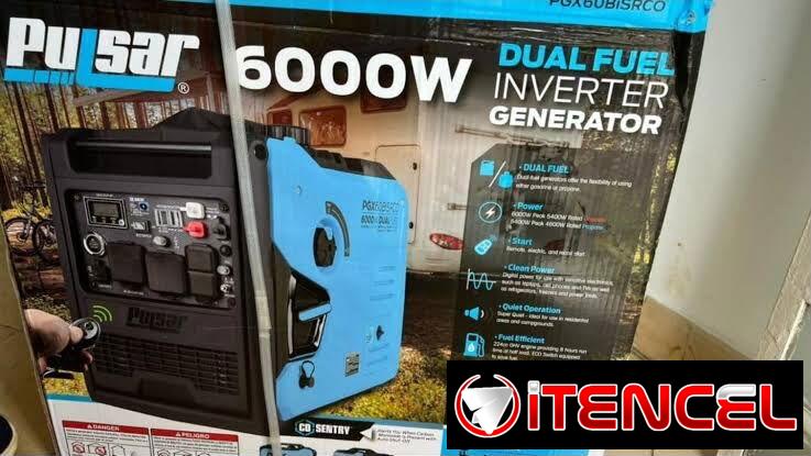 Planta Pulsar de 6000 watt 110 y 220
