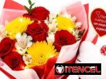 Flores peluches y regalos para Mamá envíos