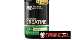 Creatina Optimum Nutrition 120 Servicios