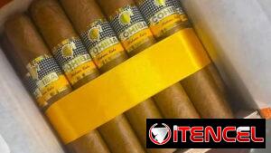 100%tabaco Exelentes:; Exelencia Calidades de Calidad