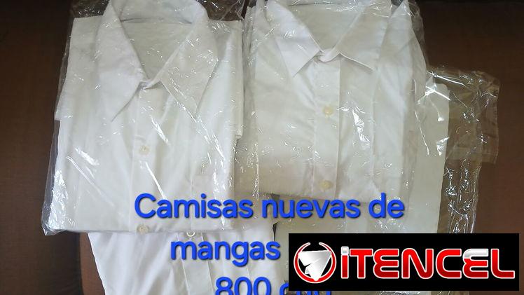 Camisas Blancas, mangas cortas