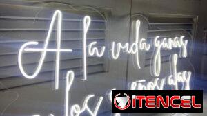 Letreros de neon flex personalizados