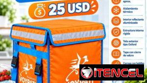 🧊 BOLSO TÉRMICO PARA PAQUETERÍA