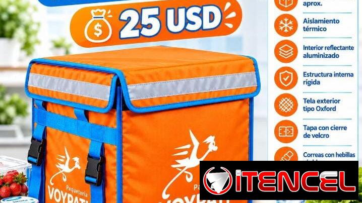 🧊 BOLSO TÉRMICO PARA PAQUETERÍA