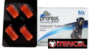 Prantel Plus