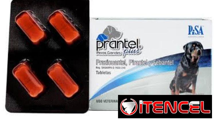 Prantel Plus