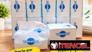 Servilletas por unidad y cantidad
