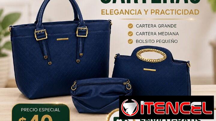 Set de 3 Carteras. Domicilio Incluido