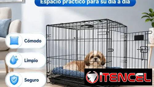Pitbull.Rotweiler.Doberman.Pastor.Teckel.Salchicha.Chiguagua.Bulldog.Labrador.Dálmata.Cocker.Shihtzu.Spaniel.Boxer