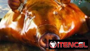 🔥 CERDO ASADO + COMIDA CRIOLLA + CANTIDAD GARANTIZADA PARA TUS INVITADOS.