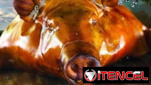 🔥 CERDO ASADO + COMIDA CRIOLLA + CANTIDAD GARANTIZADA PARA TUS INVITADOS. — foto 1