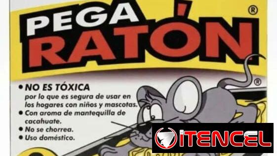 Trampa para los ratones en tu hogar