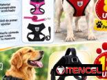 Arnés y correas para mascotas