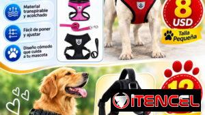 Arnés y correas para mascotas