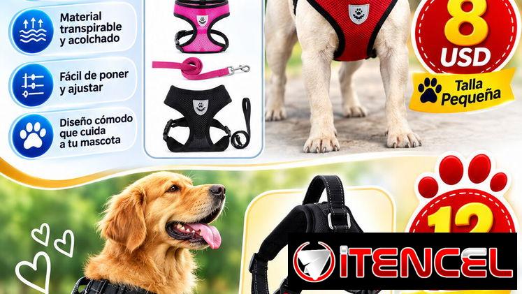 Arnés y correas para mascotas
