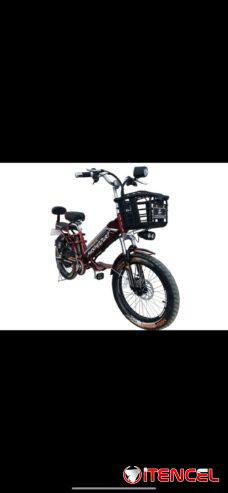 Bicicleta eléctrica