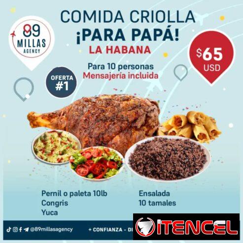 Comida criolla para papá