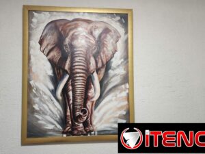 55793b90-7cb2-41df-9c81-8ca1baf396a9