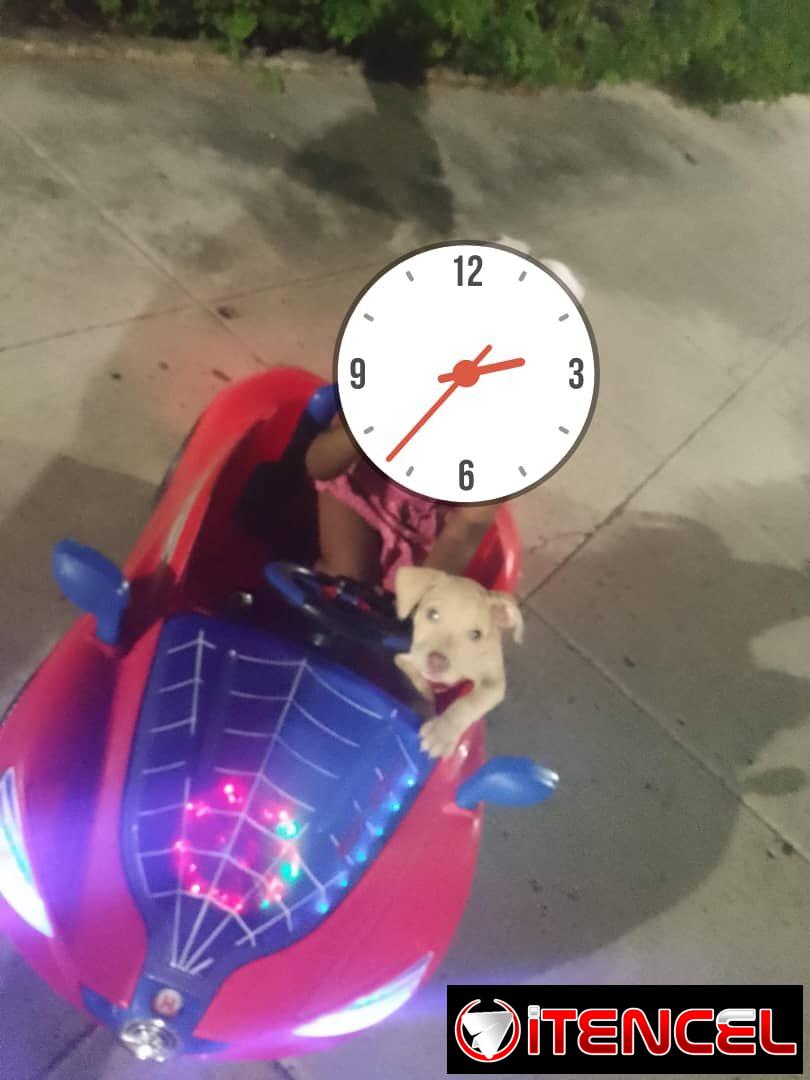 Carrito eléctrico para niño