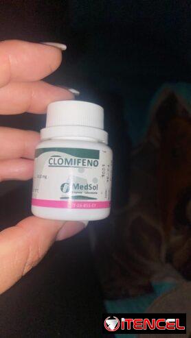 Esteroides y suplementos