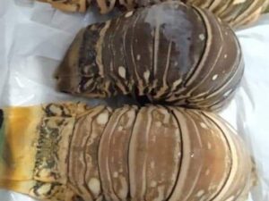 f622166a-f51d-4cd7-824d-422c15669016