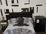 Hermoso hostal en centro Habana ☺️