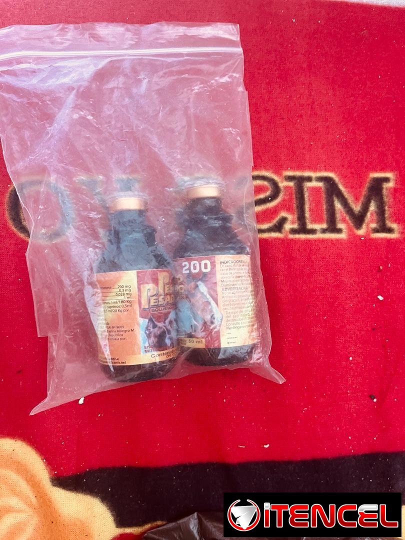 Exteroides anabolicos testosterona y clomifeno