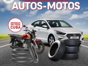 53f0075e-ee5d-46ff-a5f4-cc32dde59797