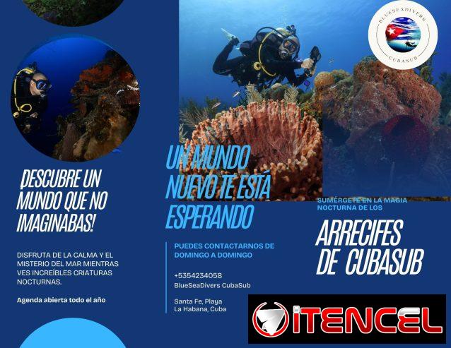 Aventura de buceo épica