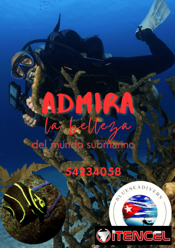 Aventura de buceo épica