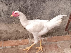 35dbd6fd-cb9e-4bd5-94cc-4a3b37e95827