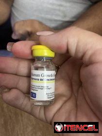 a1185ff0-2adb-4eff-80e7-b5dc19ff2e58