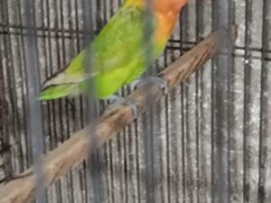 6f5f09df-86d0-40f4-a1e7-3071d4fc858d