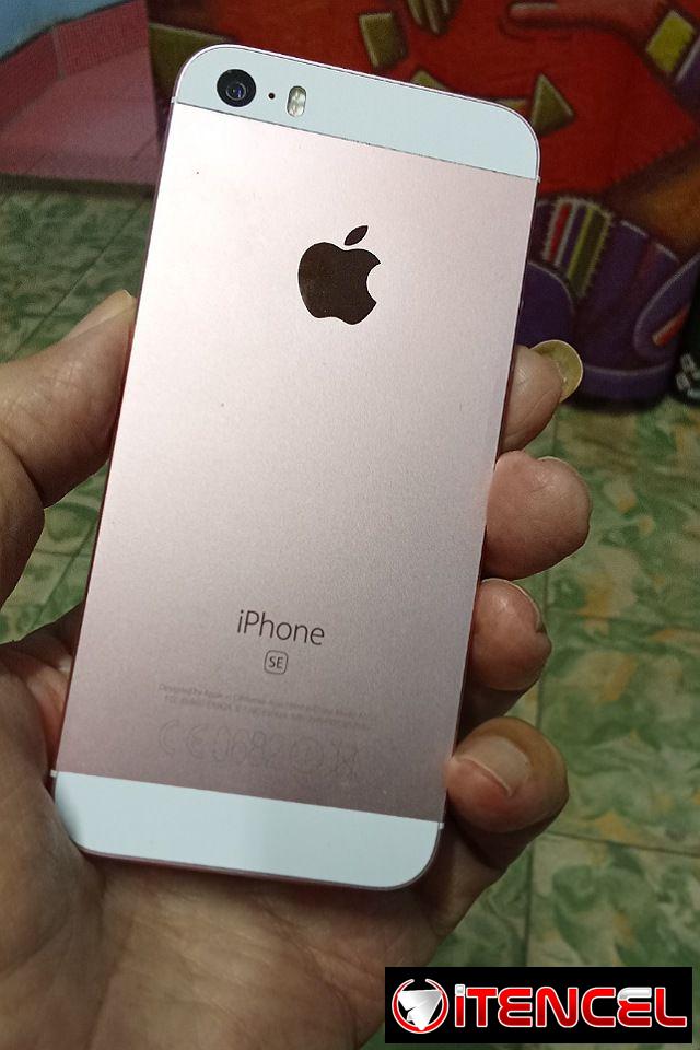 iPhone SE